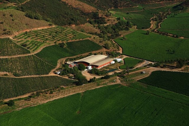 Pickup San Antonio Port visit Chocalan Winery & Transfer to Hotel - Photo 1 of 13